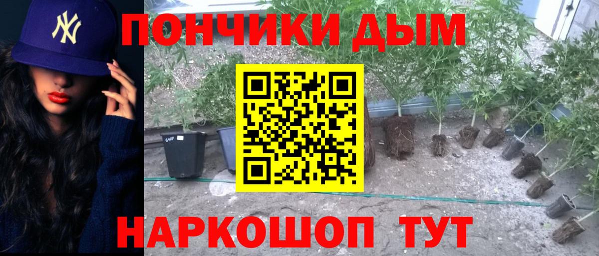 Бошки Шишки гибрид  Вход с VPN  МАРИХУАНА планчик  МАРИХУАНА AK-47  Марихуана индика  Ейск 